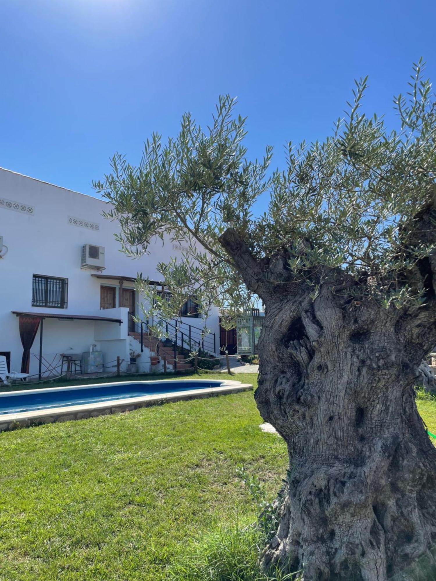 Casa Rural El Miajon Villa El Campo  Eksteriør billede
