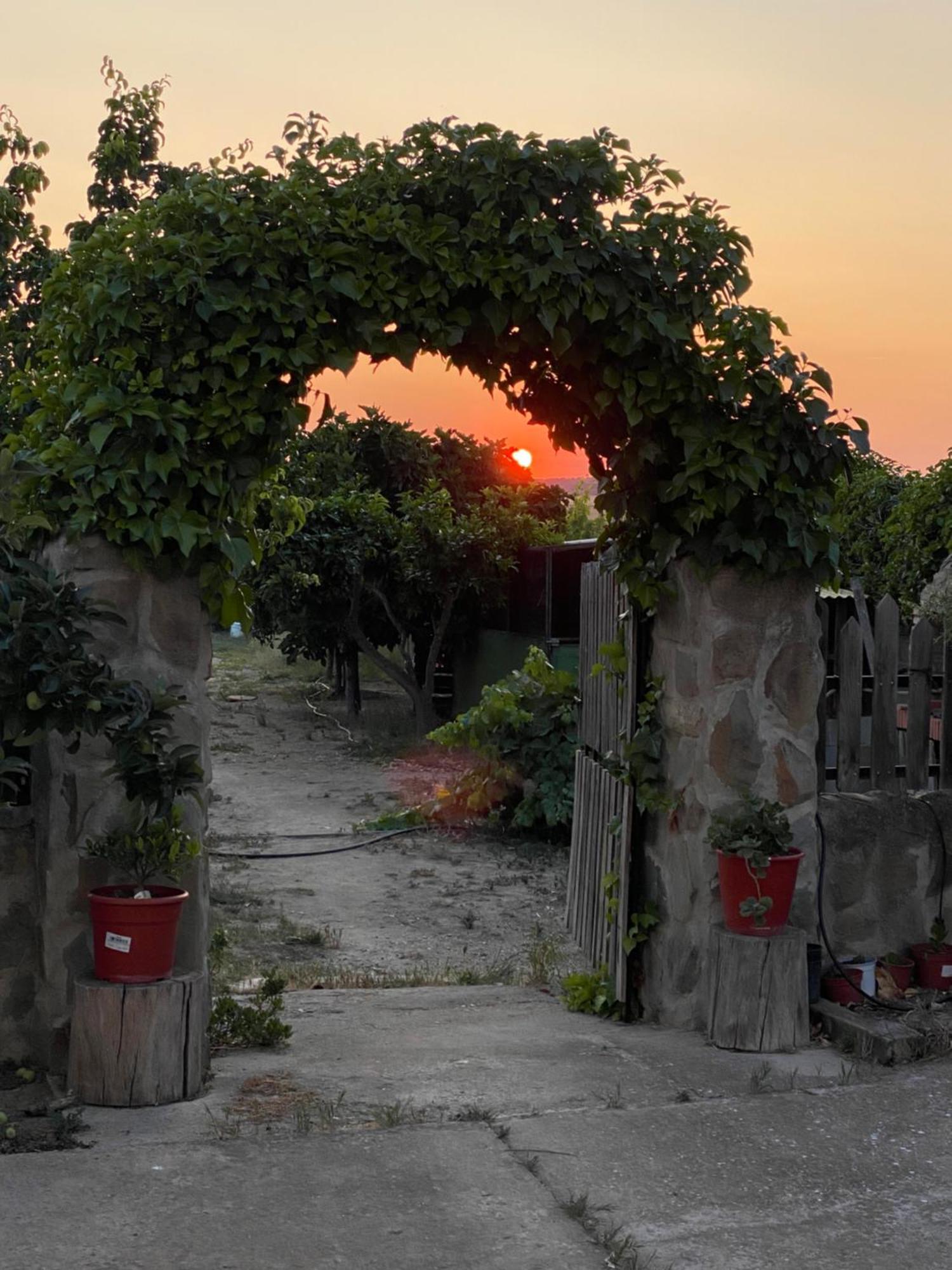 Casa Rural El Miajon Villa El Campo  Eksteriør billede